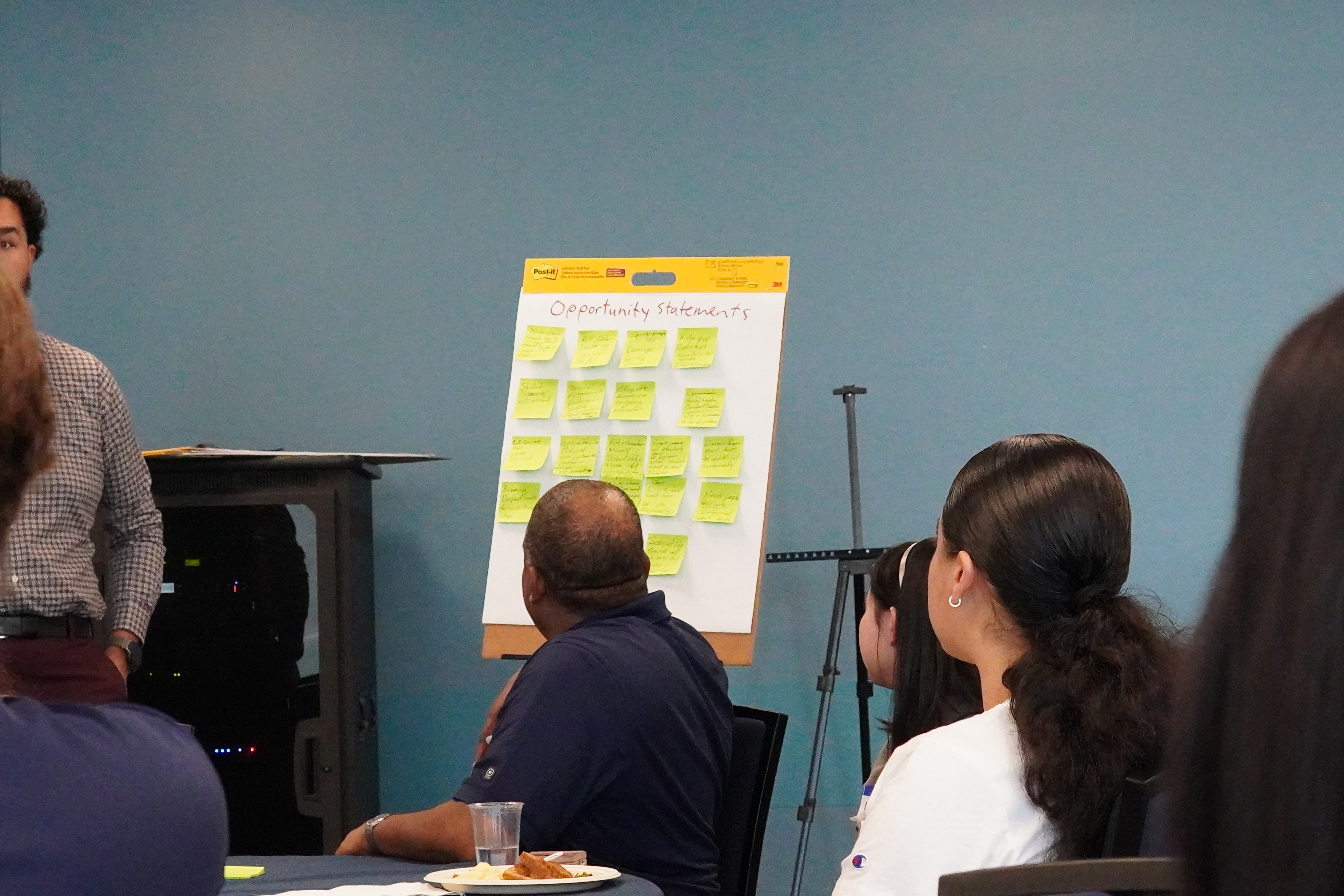 Discussing the opportunity statements