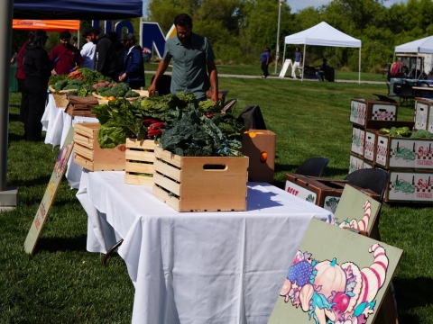 Earth Day Produce Basket