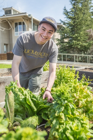 Student smiling while picking lettuce