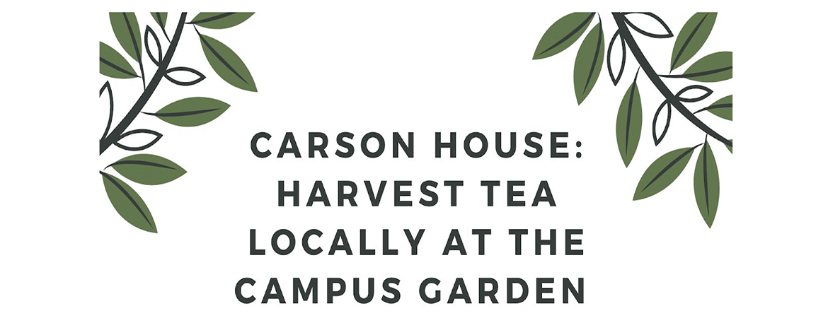 https://sustainability.ucmerced.edu/resources/carson-house-projects